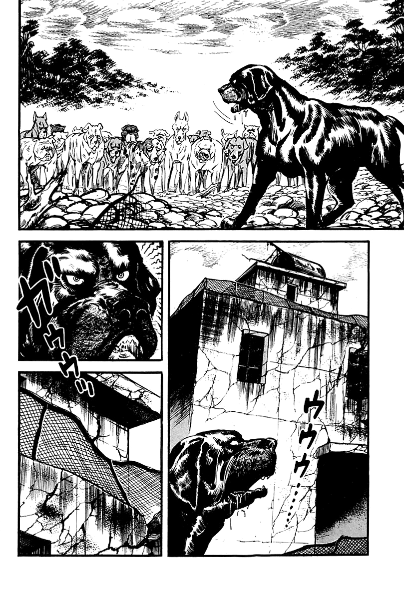Page 51