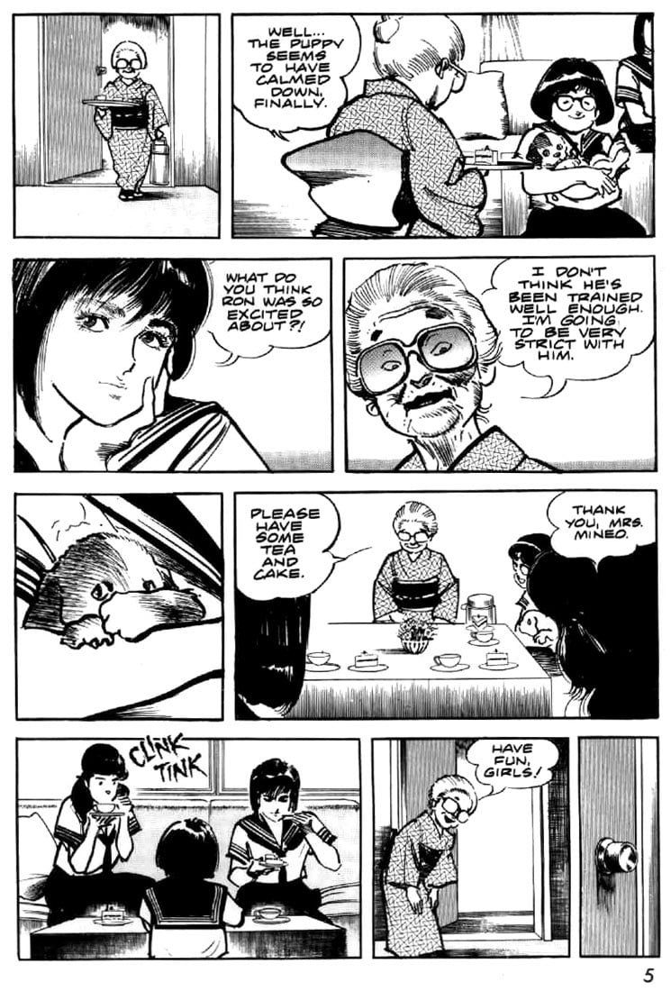 Page 5