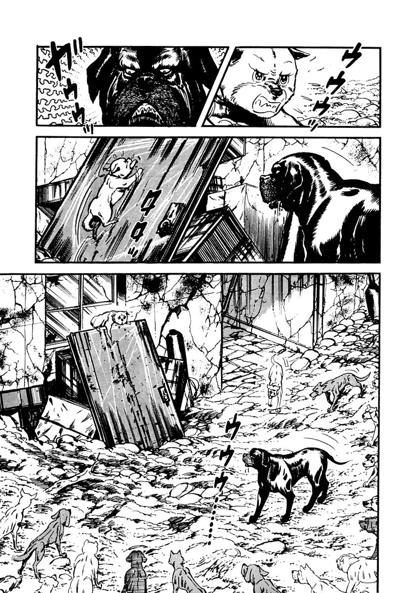 Page 62