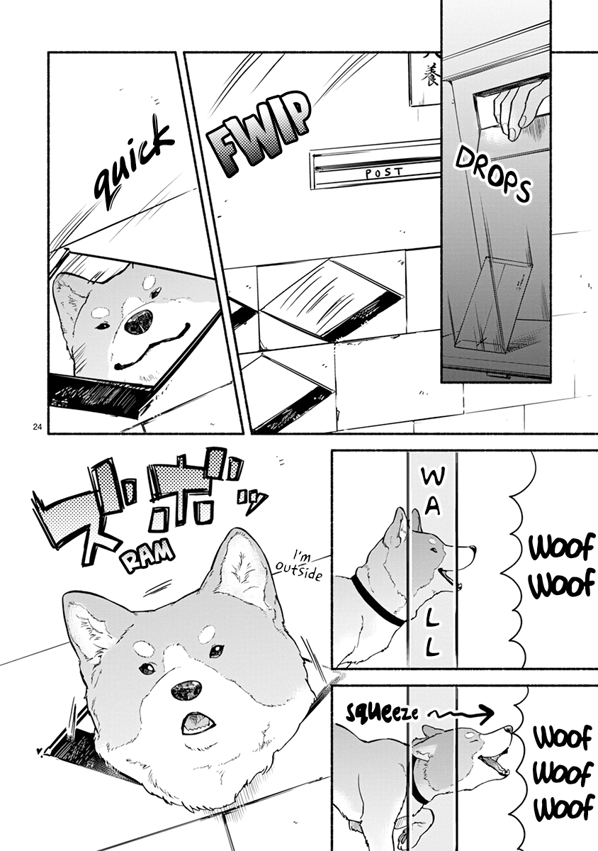 Page 26