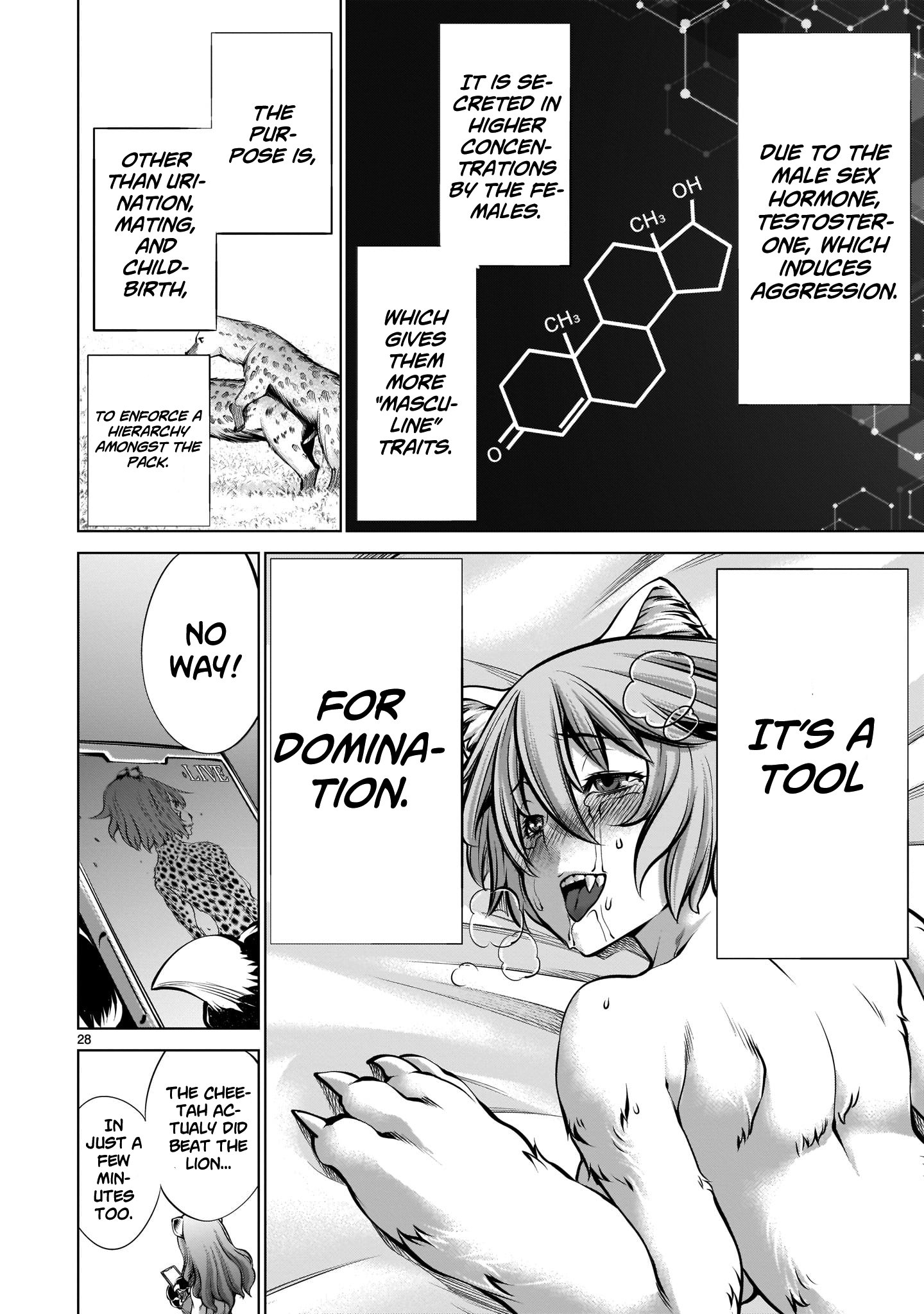 Page 26