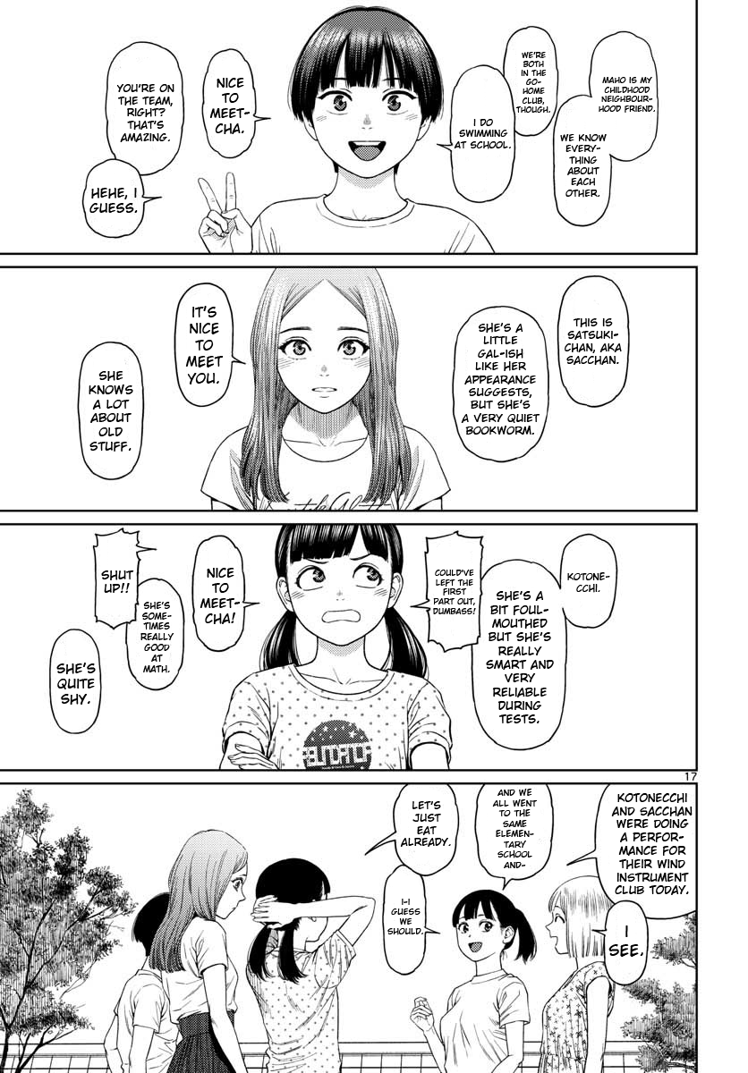 Page 17