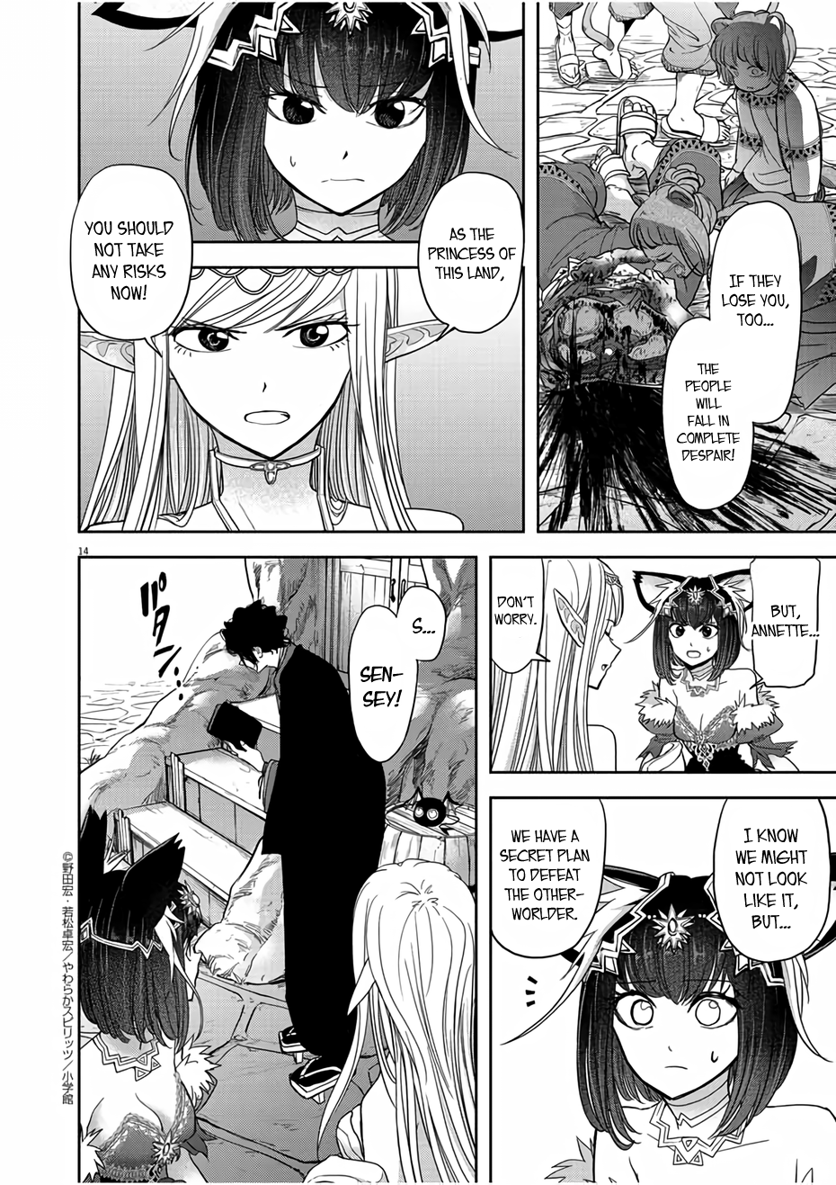 Page 14