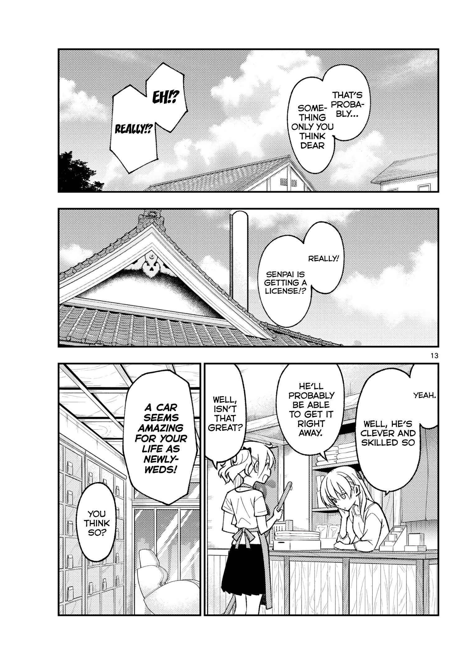 Page 13