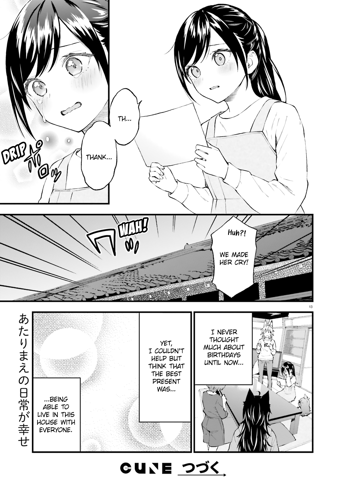 Page 13