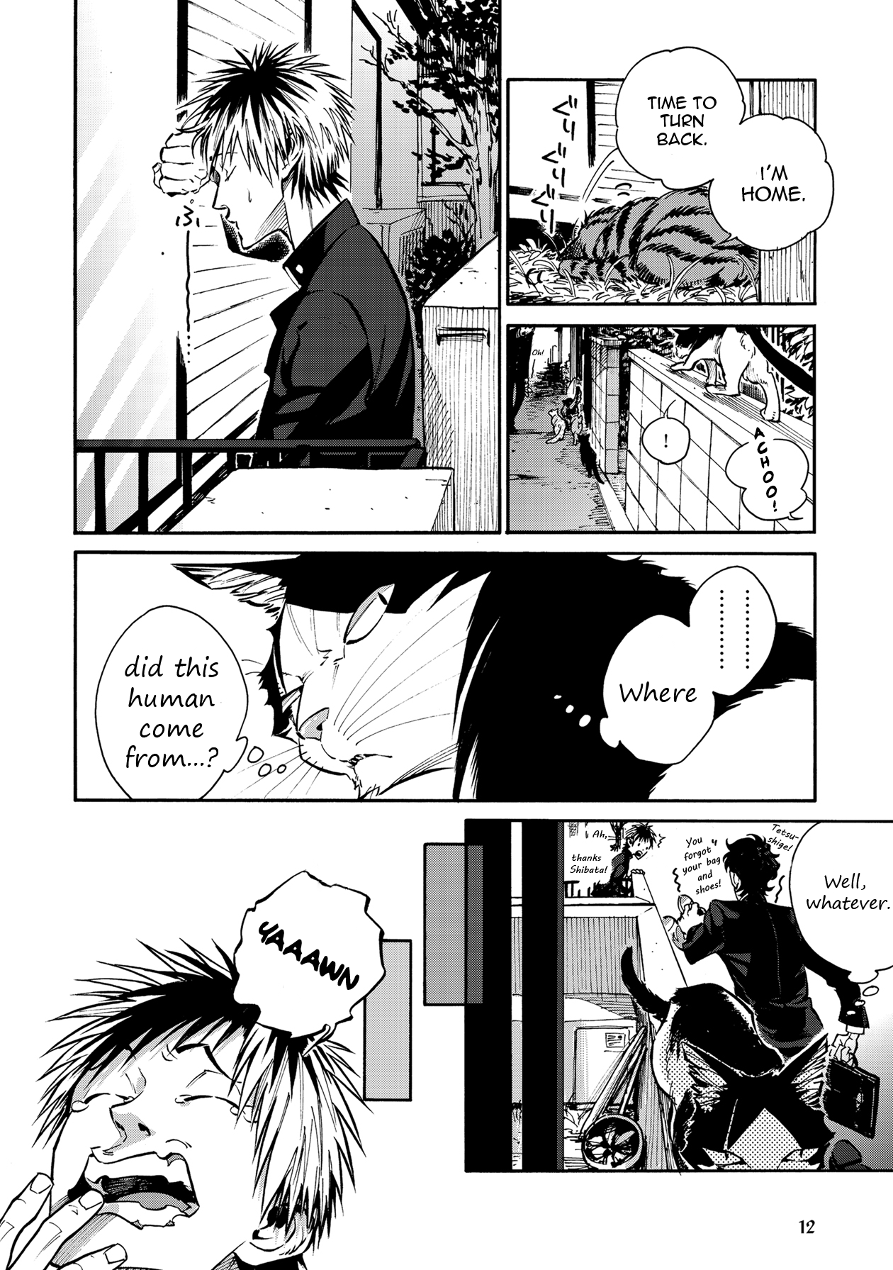Page 12