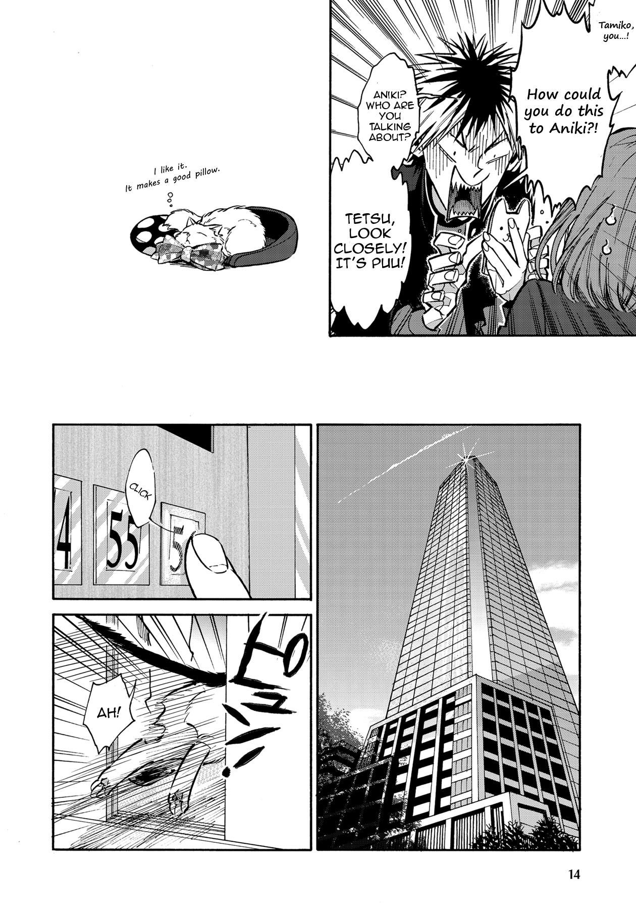 Page 14