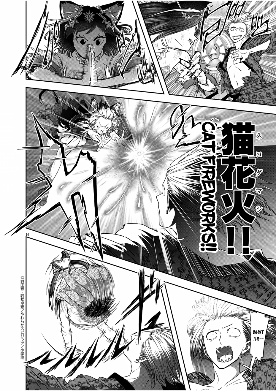 Page 16