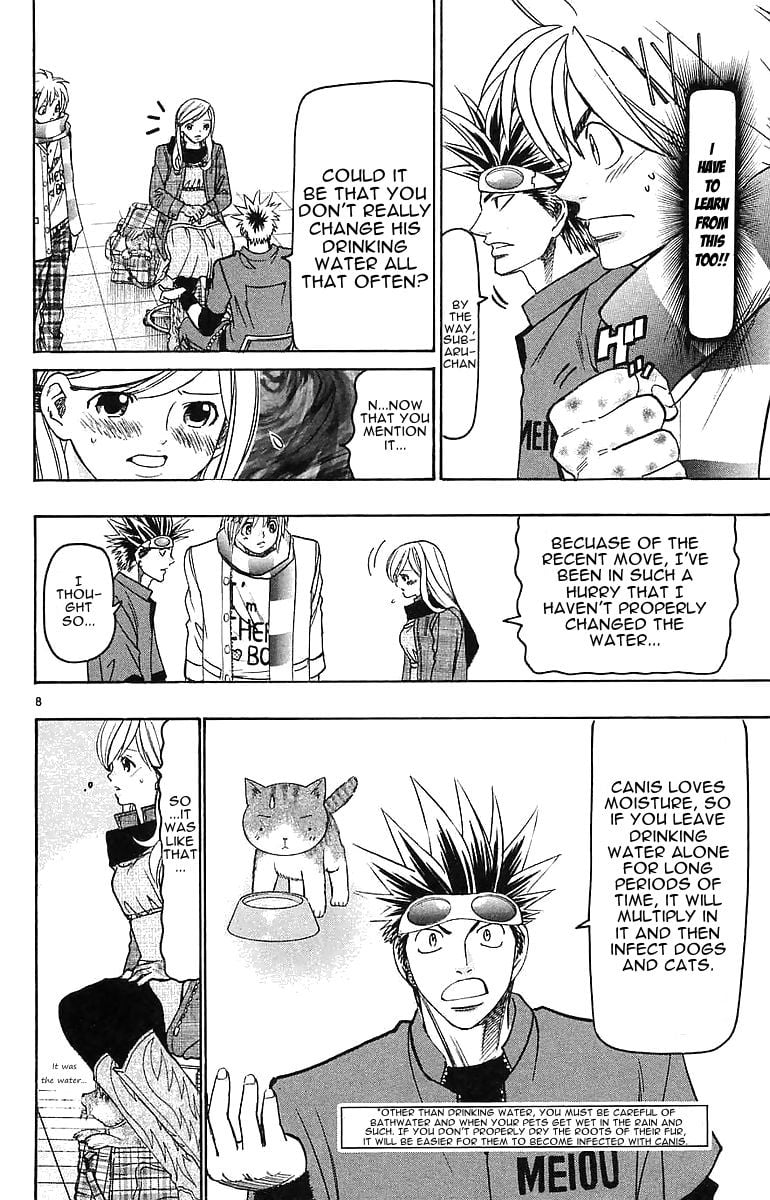 Page 8