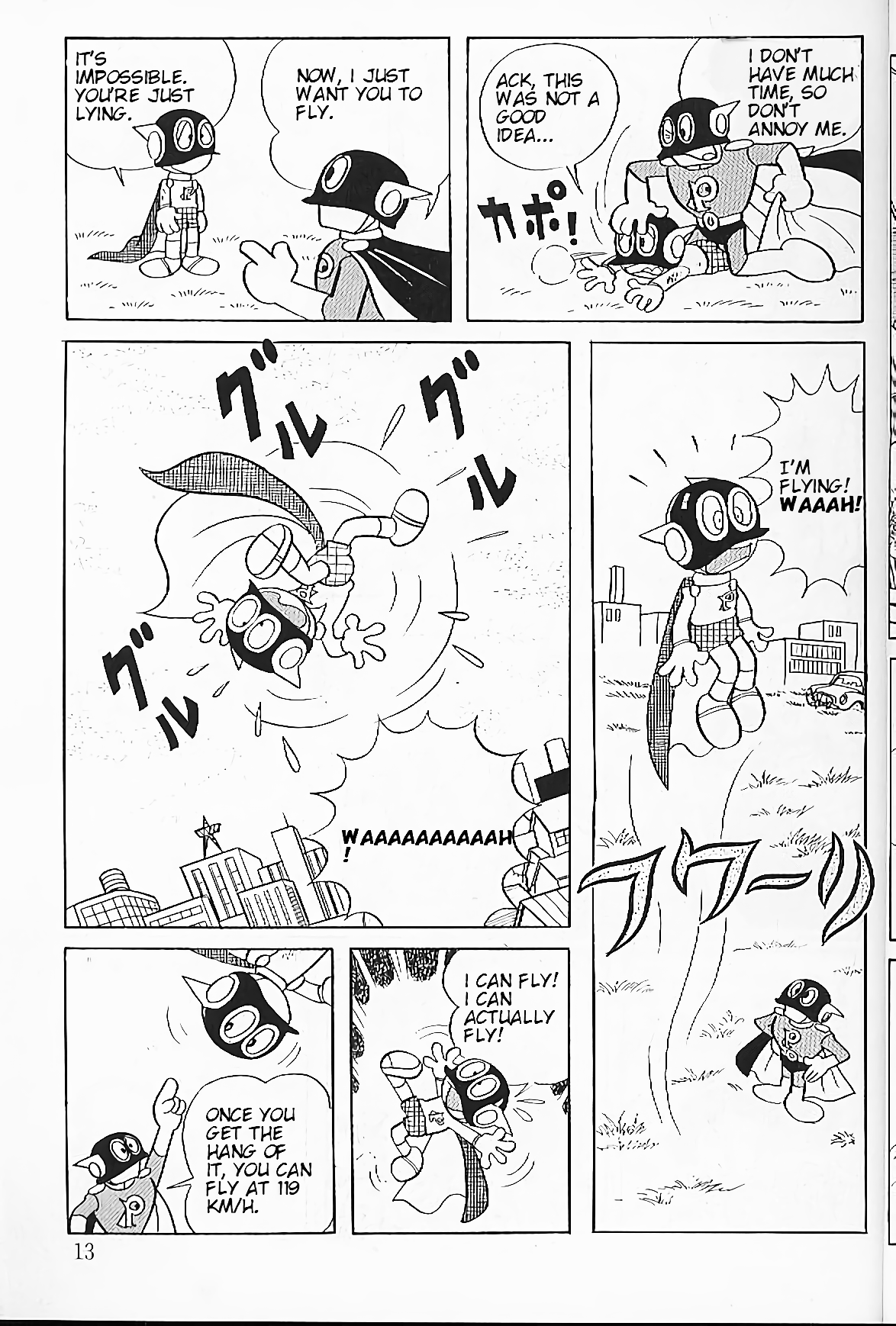 Page 13