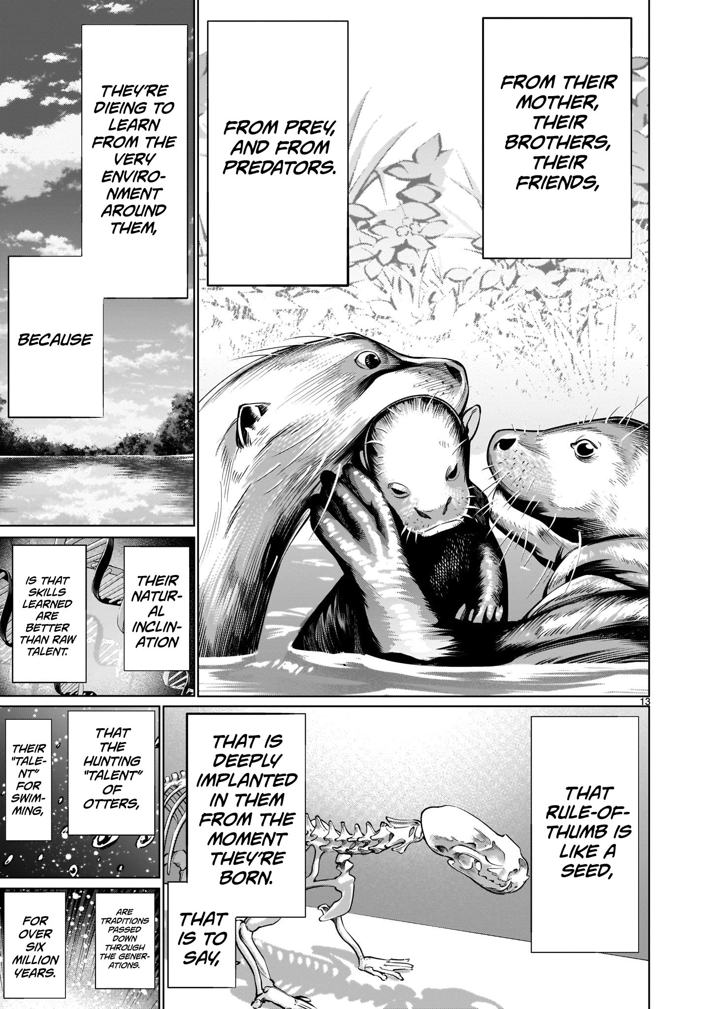 Page 13