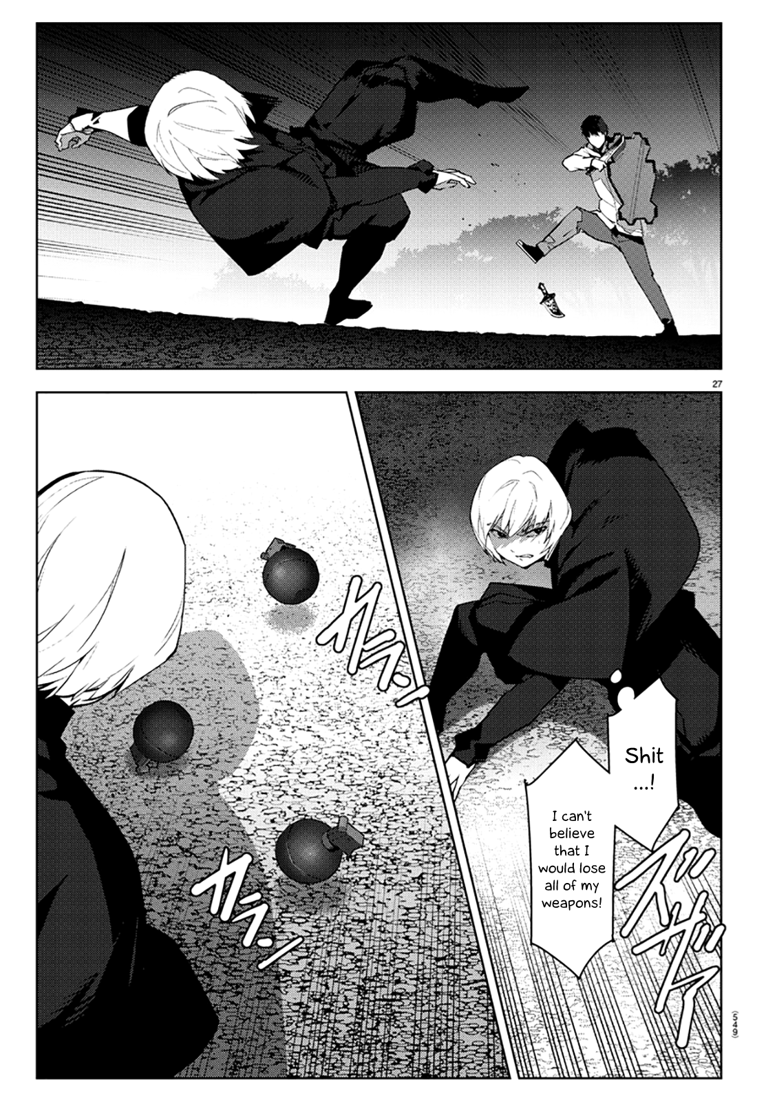 Page 27