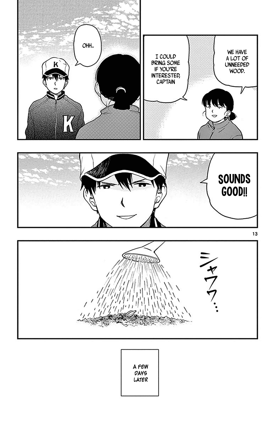 Page 13