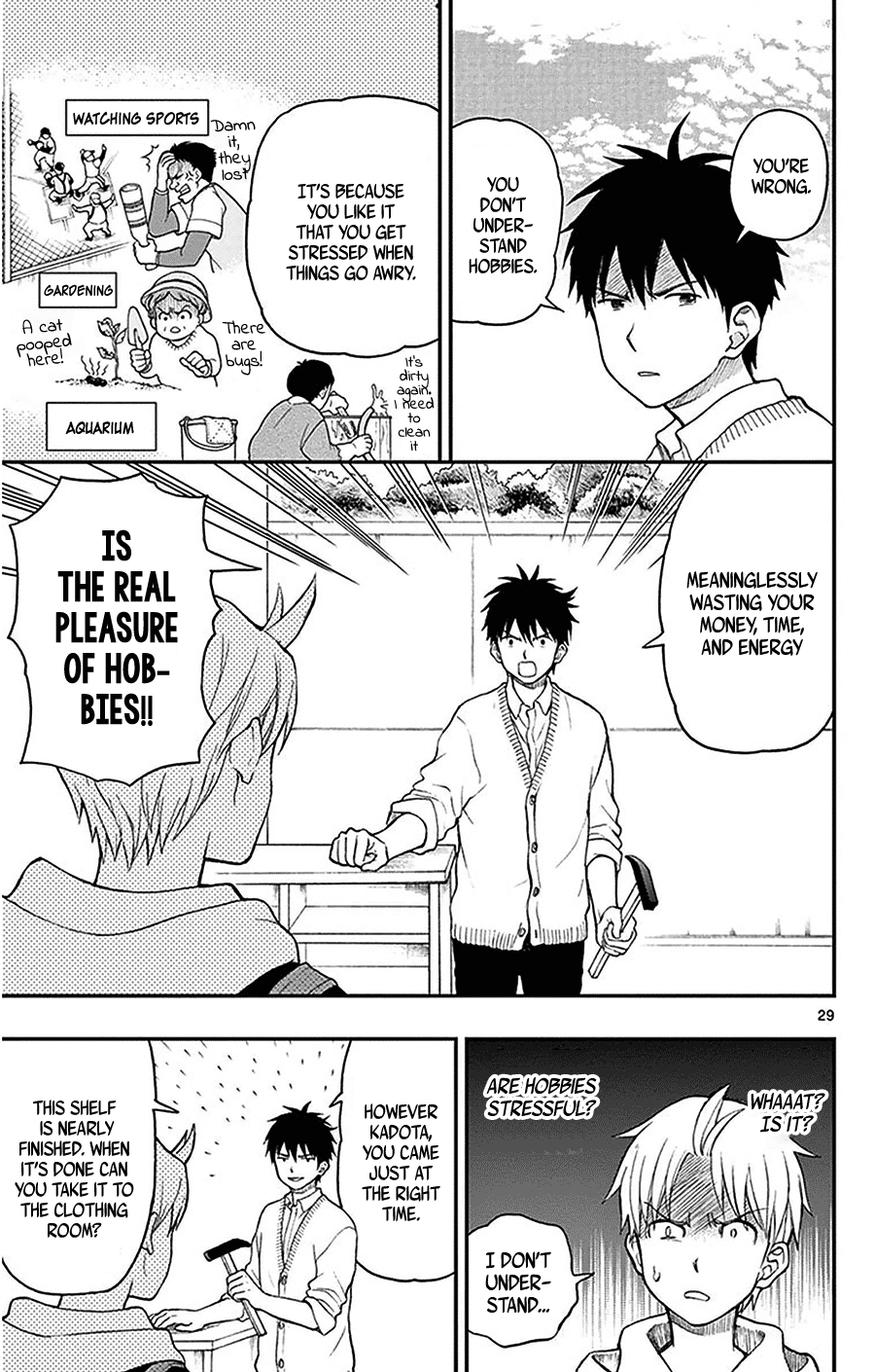 Page 29