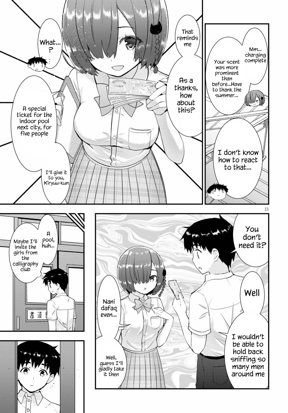 Page 13